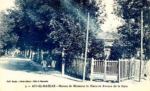 AIN-EL-HADJAR - AVENUE GARE ET MAISON DU MAIRE- 1931
